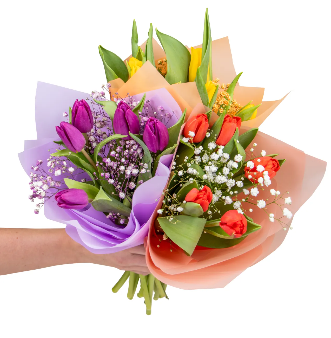 set tulipány ruka.jpg